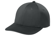 iron Grey baseball cap on a white background
